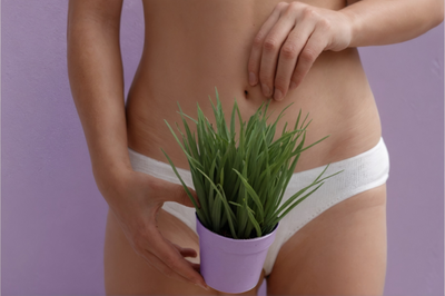 Beat the Itch: 8 Tips to Prevent Pubic Hair Discomfort During Regrowth